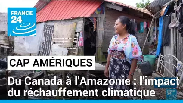 Du Canada à l'Amazonie : quel est l'impact du réchauffement climatique ? • FRANCE 24