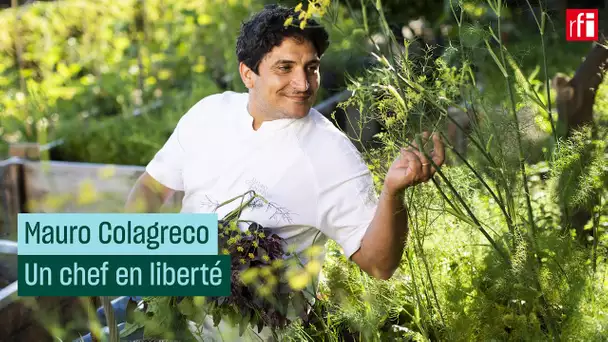 Mauro Colagreco, un chef en liberté #CulturePrime