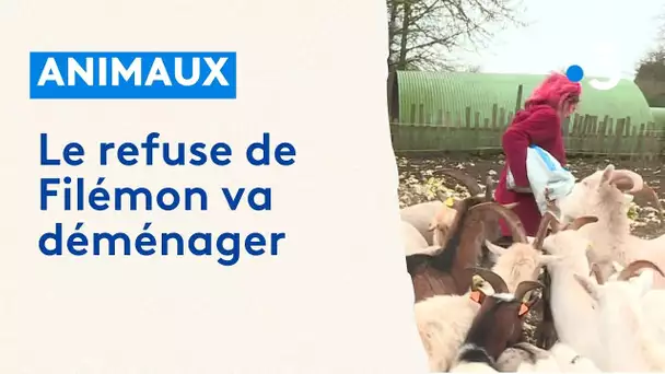 Animaux : le refuge de Filémon va déménager