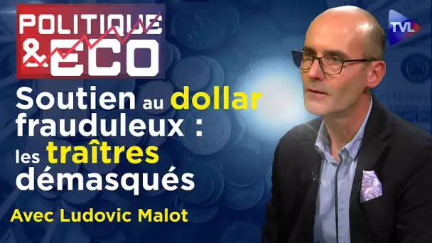 Guerre de l’or et ouragan bancaire : vaincre l’apocalypse - Politique & Eco n°406 avec Ludovic Malot