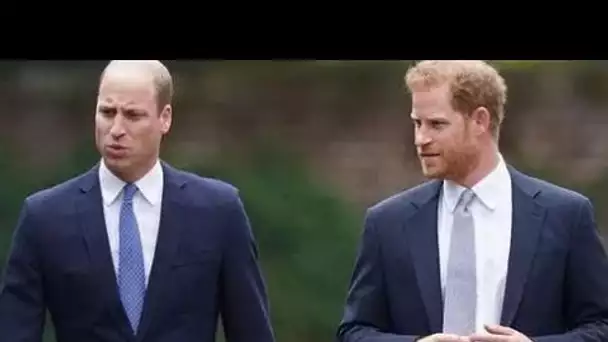 Le départ du prince Harry "vraiment mauvais" pour la santé mentale de William "a perdu son meilleur