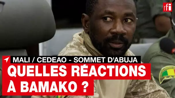 Mali : après le sommet de la Cédéao, quelle stratégie pour le pouvoir malien ? • RFI