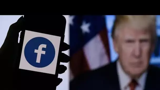 Meta va rétablir les comptes Facebook et Instagram de Donald Trump • FRANCE 24