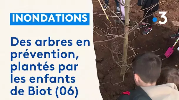 Inondations : des arbres en prévention, plantés par les enfants de Biot (06)