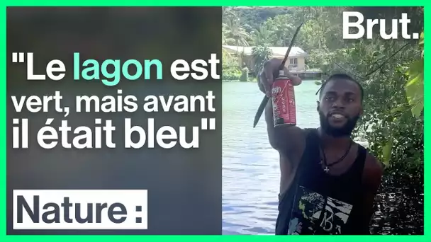 Cette communauté du Vanuatu a déclaré la guerre au plastique