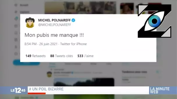 [Zap Télé] L'étrange tweet de Michel Polnareff ! (01/07/21)