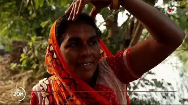 Inde : vivre avec les crocodiles