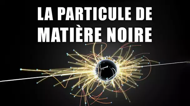 Un NOUVEL ACCÉLÉRATEUR de particules géant pour traquer la MATIÈRE NOIRE ! DNDE 333