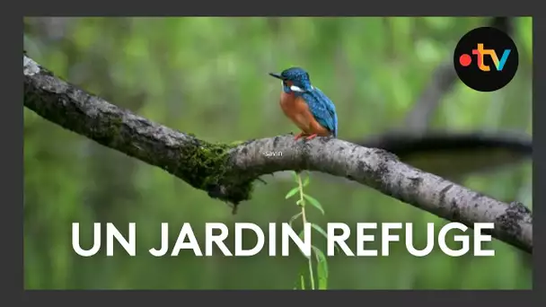 A Marans, un des plus grands refuges LPO de Charente-Maritime