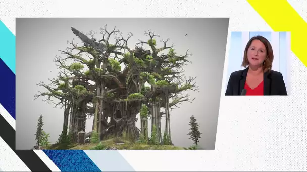 Johanna Rolland, la maire de Nantes s'explique sur l'abandon de l'arbre aux hérons