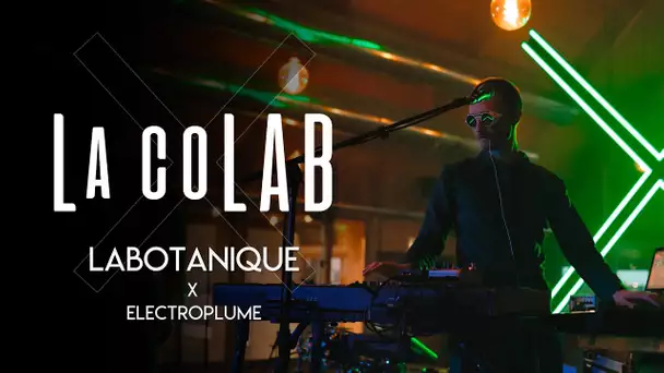 La CoLAB, quand le végétal Labotanique rencontre l'animal Electroplume