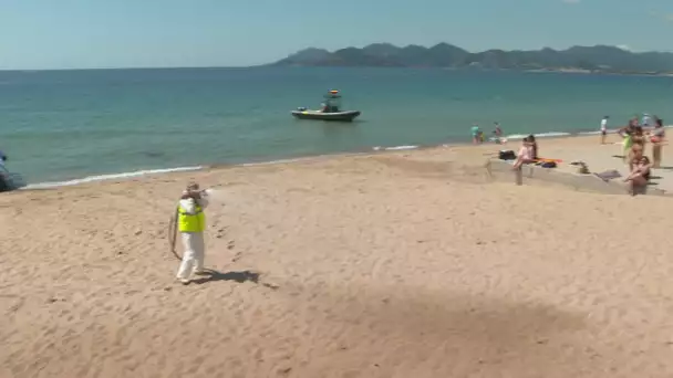 Cannes : la désinfection des plages a commencé