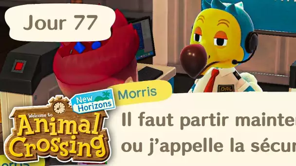 Jour 77 | Rester toute la nuit chez Dodo Airline ! | Animal Crossing : New Horizons