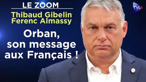 Orbán pour comprendre la stratégie hongroise - Le Zoom - Thibaud Gibelin - Ferenc Almassy - TVL
