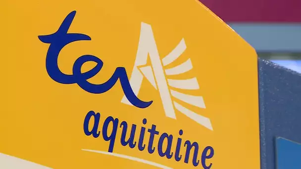La région Nouvelle-Aquitaine et la SNCF lancent des billets à prix réduits