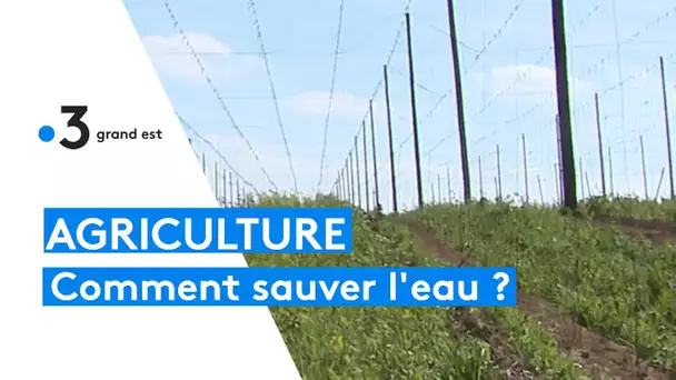 Comment mieux et moins arroser en Alsace où la nappe phréatique est très affectée