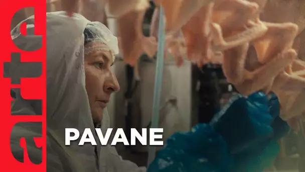 Pavane | Court métrage | ARTE Cinema