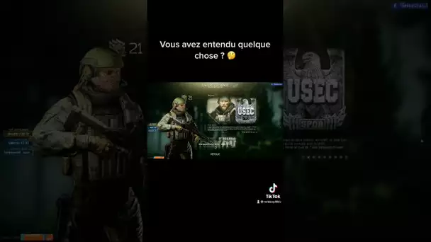 Vous avez entendu quelque chose ? #bestof #mrbboy45 #pet #moehek #tarkov #clip #fun