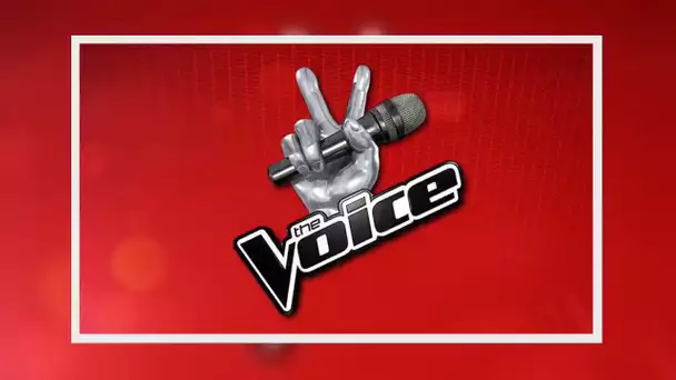 ✅  Ancien gagnant de The Voice, il chante aujourd&#039;hui dans le métro de Paris