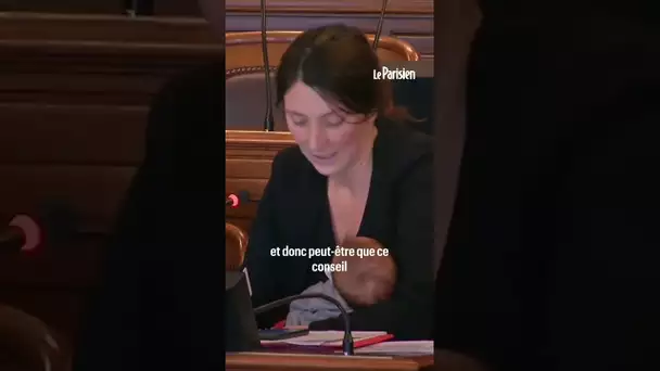 Une élue attendrit le Conseil de Paris en siégeant avec son nouveau-né dans les bras