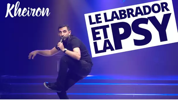 Le labrador et la psy - 60 minutes avec Kheiron