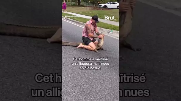 Il maîtrise un alligator à mains nues 😱