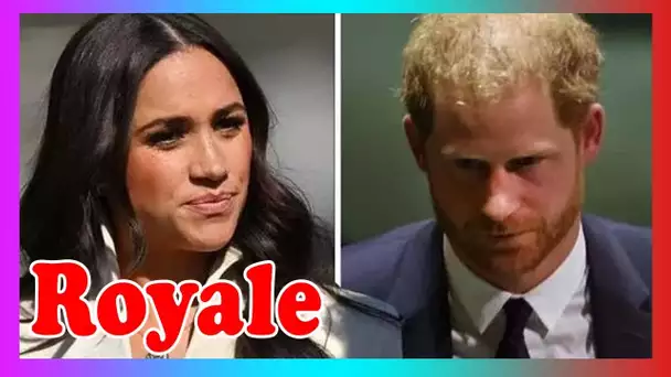 Meghan a été «courageuse» pour appeler les amis Etonian de Harry – «plus de gens d0ivent le faire»