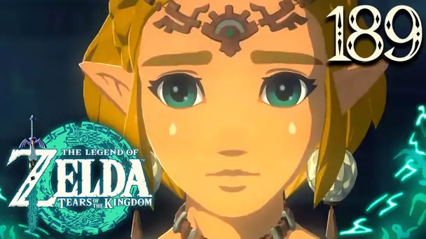 Zelda Tears of the Kingdom #189 : HEIN ? MAIS C'EST QUOI CE BUG DE FOU FURIEUX ?!