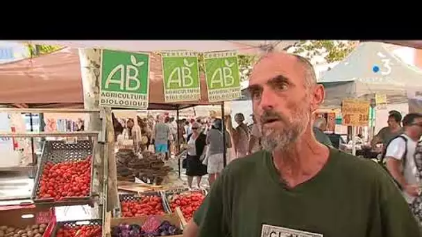 Alimentation : sur le marché de Bastia, les producteurs bio font recette