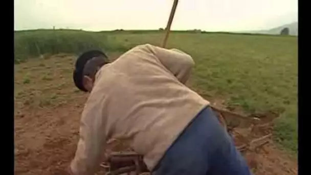 Il était une fois les labours