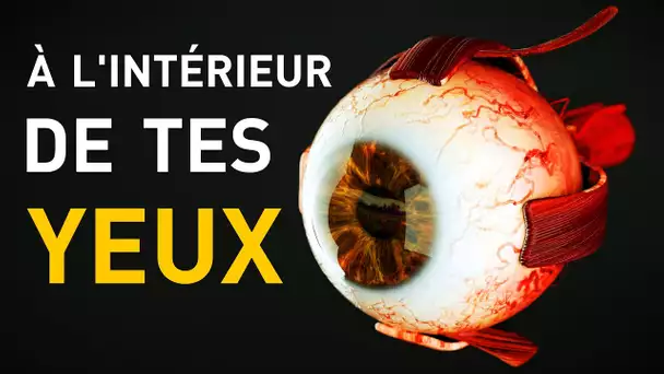 Ce Qu’Il Se Passe A L'intérieur De Tes Yeux