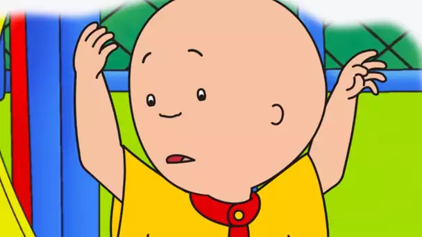 Caillou et la Grande Surprise | Caillou en Français