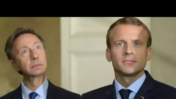 Stéphane Bern au secours d'Emmanuel Macron : « Soit on restaure sérieusement, soit...