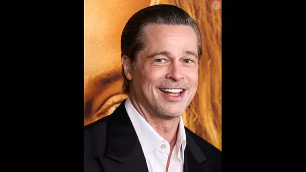 Brad Pitt "très amoureux" d'Ines de Ramon : le couple s'affiche officiellement ensemble pour la pr