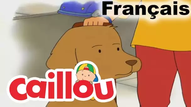 Caillou: Un Chien Très Spécial | conte pour enfant | Caillou en Français