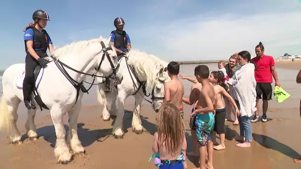 Des chevaux de traits boulonnais en patrouille sur la plage de Calais.