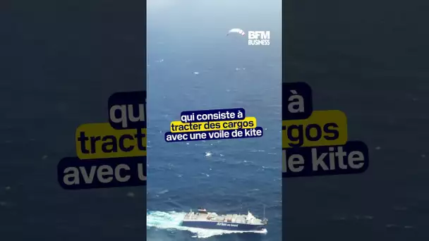 Tracter un cargo avec une voile de kite, c'est possible !