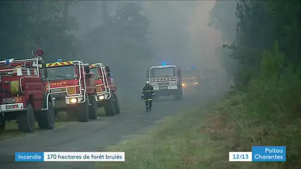 Incendie forêt de Bédenac (17)