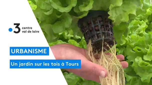 Tours : découvrez les jardins sur les toits, un concept innovant