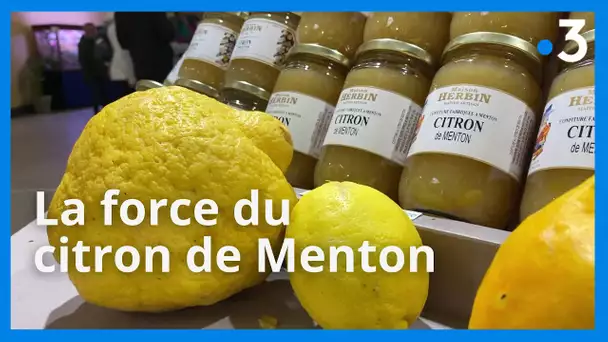 Le citron de Menton, un agrume réputé