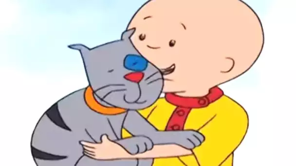 Caillou aime Gilbert | Caillou en Français