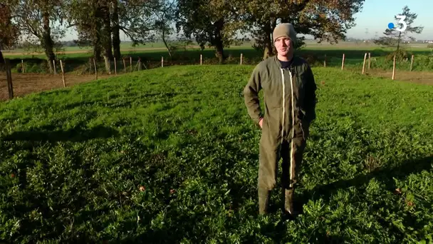 Grippe aviaire : à  Pissy-Pôville (Seine-Maritime), les volailles confinées par précaution