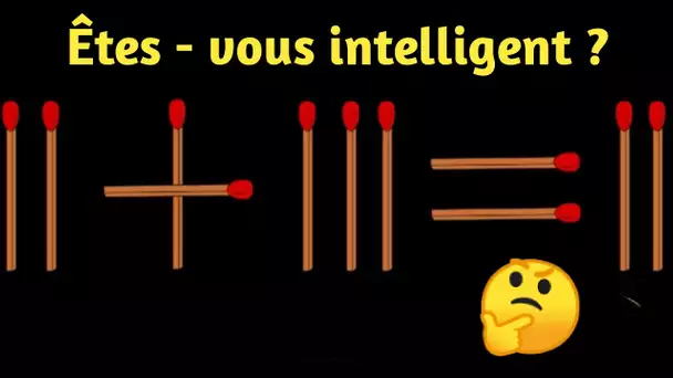 Puzzle de bâton pour tester votre intelligence💪