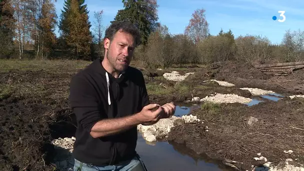 Doubs : des travaux avec hélicoptère au lac de l'Entonnoir