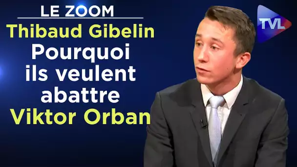 Pourquoi ils veulent abattre Viktor Orban - Le Zoom - Thibaud Gibelin - TVL