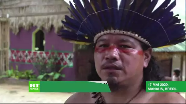 Au Brésil, des peuples autochtones utilisent des plantes contre le coronavirus