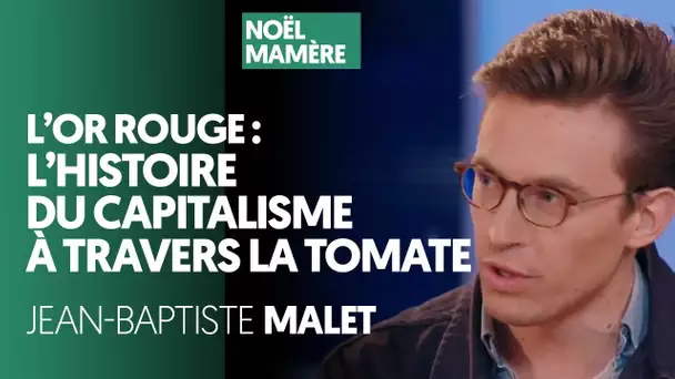 L'OR ROUGE : L'HISTOIRE DU CAPITALISME À TRAVERS LA TOMATE - JEAN-BAPTISTE MALET