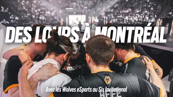 "Des loups à Montréal": avec les Wolves Esports au Six Invitational