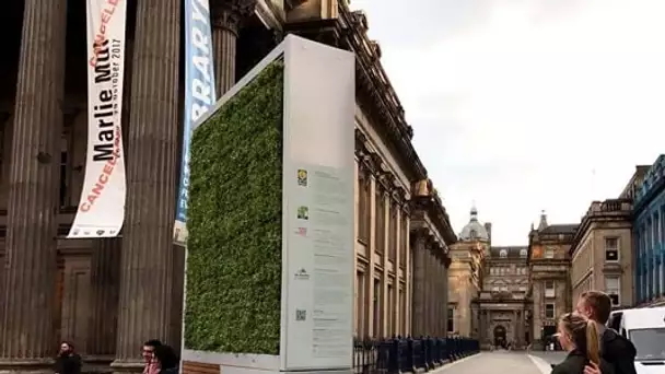 CityTree : le mur végétal anti-pollution du moment
