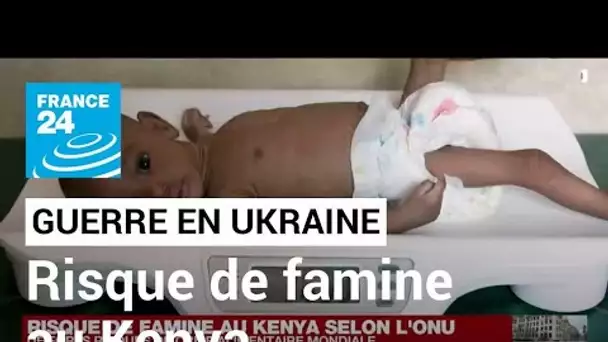 Guerre en Ukraine : risque de famine au Kenya, selon l'ONU • FRANCE 24